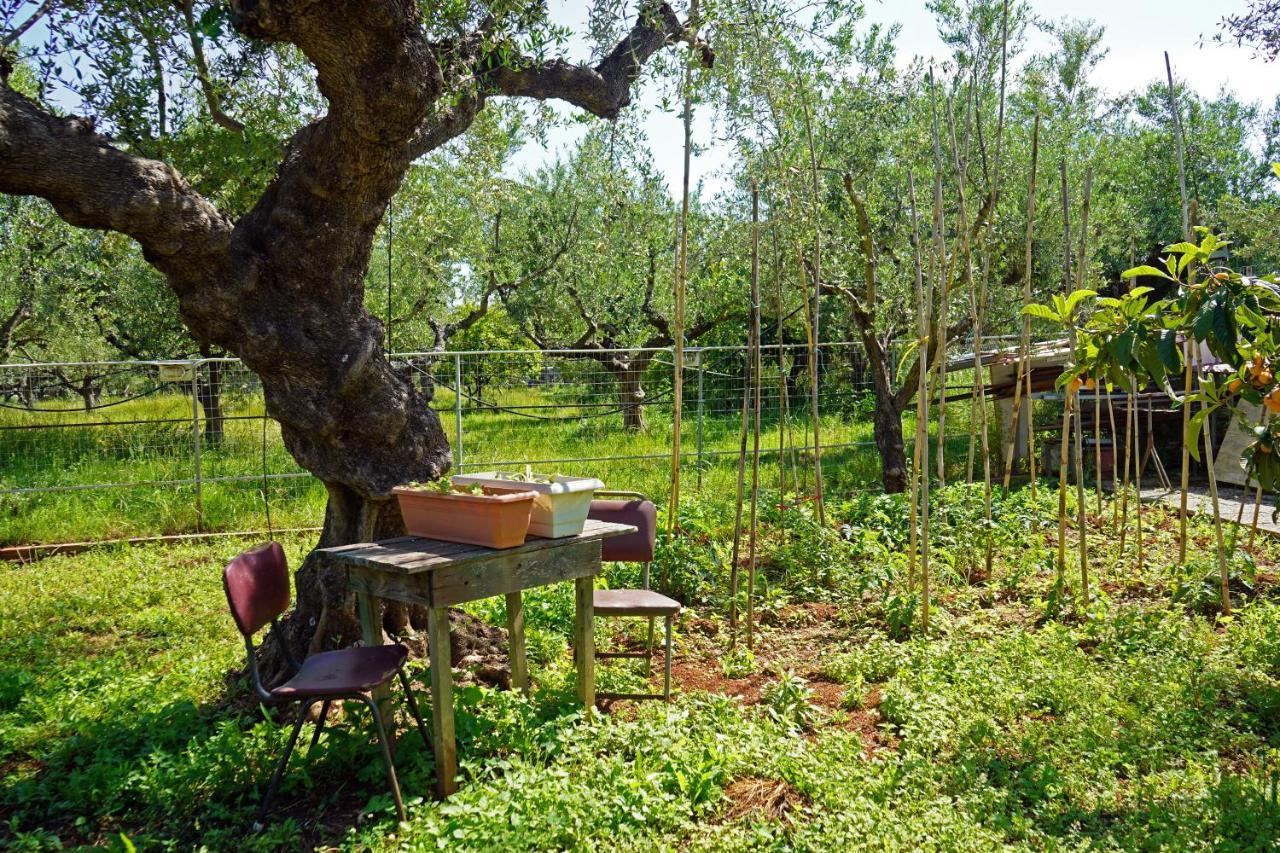 Veni Olive House Villa Kalamáta Eksteriør bilde