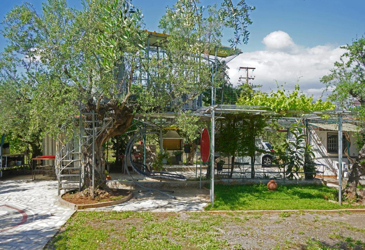 Veni Olive House Villa Kalamáta Eksteriør bilde