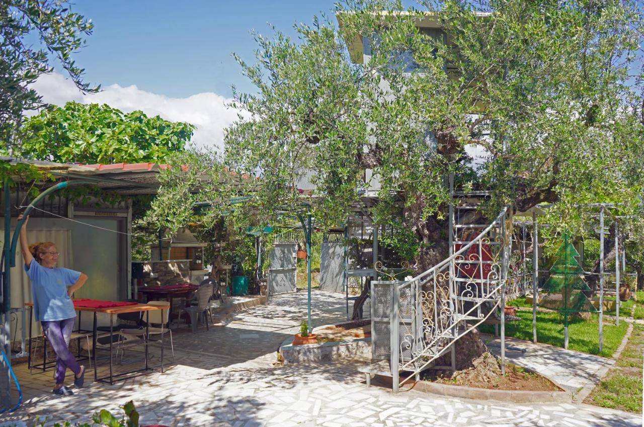 Veni Olive House Villa Kalamáta Eksteriør bilde