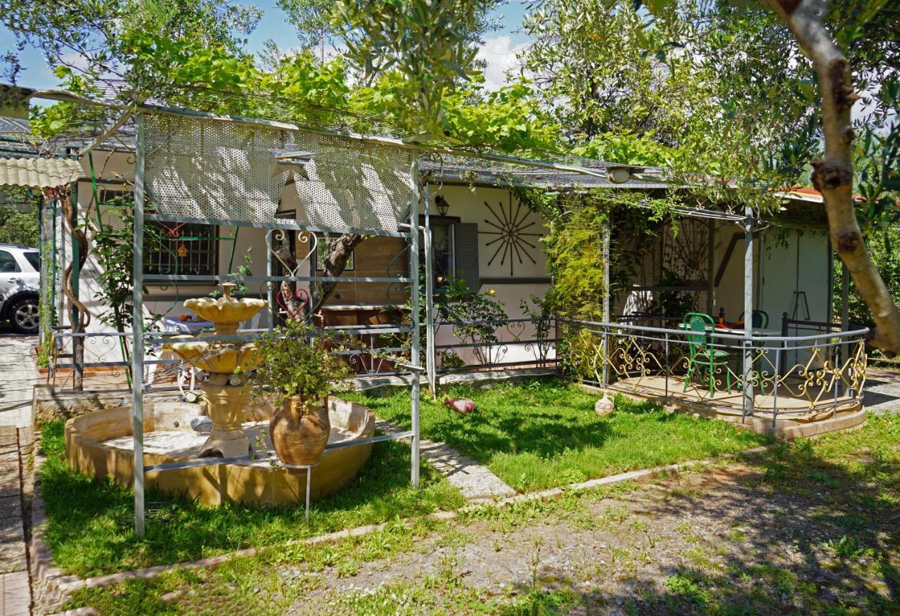 Veni Olive House Villa Kalamáta Eksteriør bilde