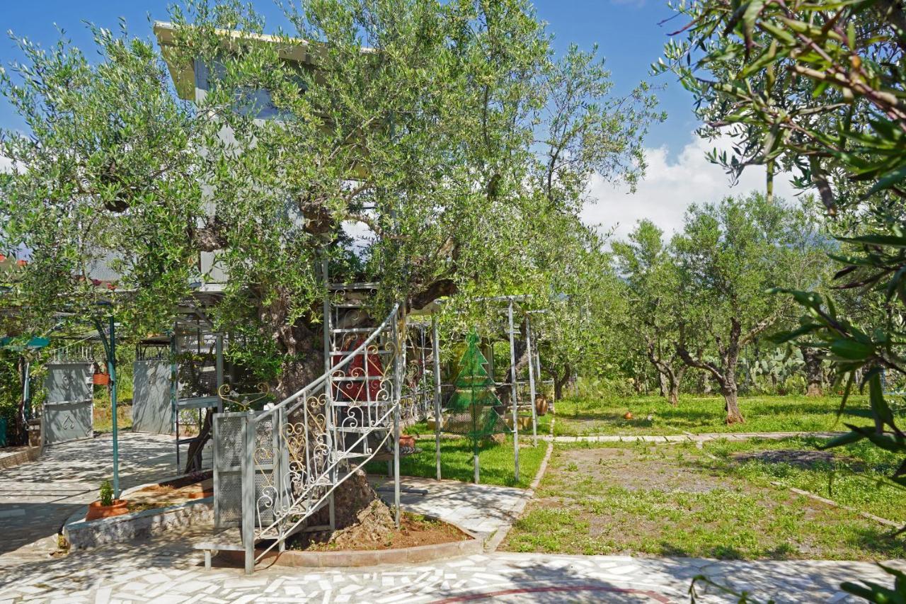 Veni Olive House Villa Kalamáta Eksteriør bilde
